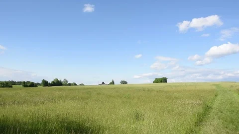 Grassy field white clouds blue sky Stock Footage 76006706