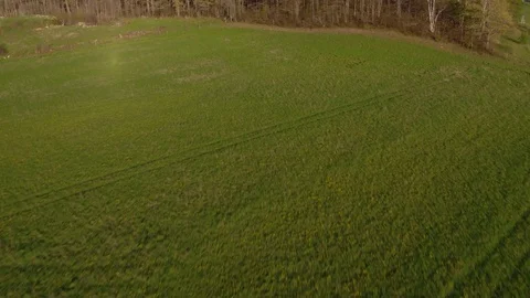 Grassy Field of Windmills Vídeo Stock 79045422