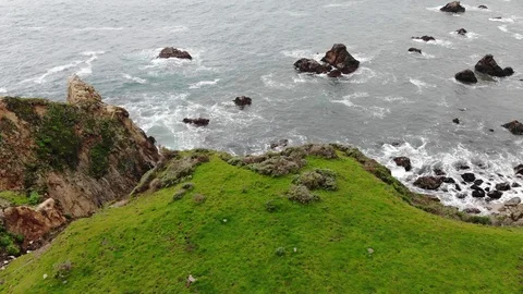 Grassy fields overlooking ocean Stock Footage 116018554