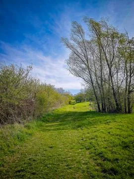 Grassy footpath through a spring meadow with trees and blue sky Stock Photos