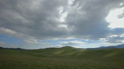Grassy glade with pockets of sun trails moving across fast Stock Footage 8602793