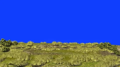 Grassy ground in the wind Stock Footage 114760875