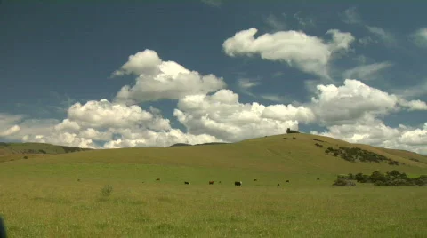 Grassy Hill, Clouds And Cows Vidéo 346018