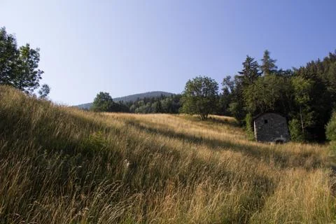 Grassy hill Stock Photos