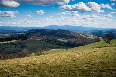 Grassy Hill With Trees Stock Photos