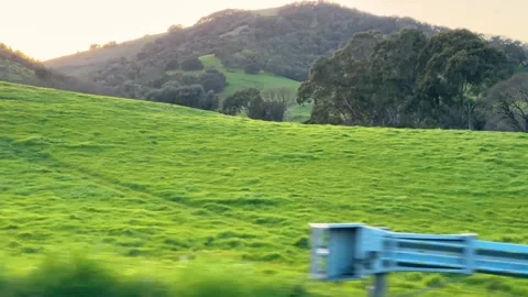 Grassy Hills at Dusk Stock Footage 307962977
