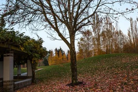 Grassy hills in fall Stock Photos