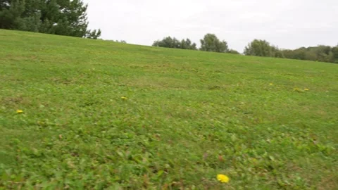 Grassy hillside with a cable car line in the background Stock Footage 345409671