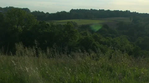 Grassy hillside with lens flare Stock Footage 24635952