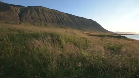 Grassy Hillside Overlooking the Ocean, Icelandic Westfjords Stock Footage 345179813