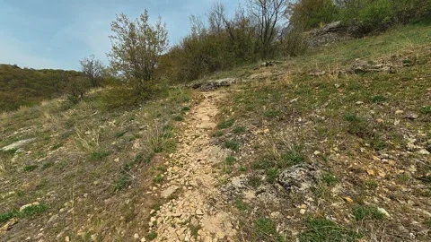 Grassy hillside with rocky path leads upward. Mount Ozren, Serbia 스톡 동영상 332728658