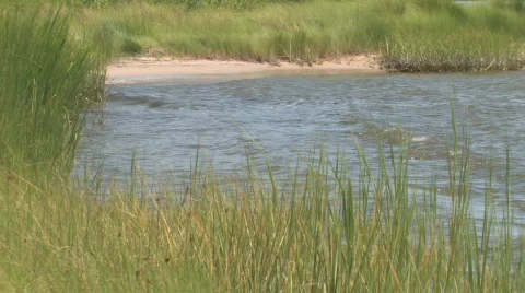 Grassy Inlet Stock Footage 146941