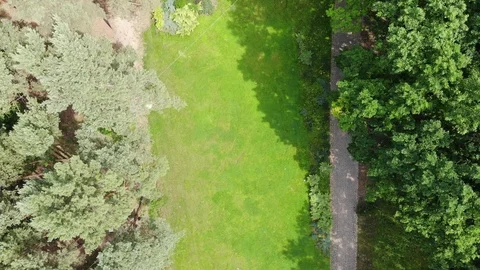 Grassy Knolle Video stock 111160331