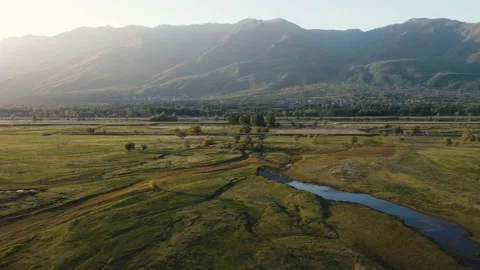 Grassy Lake Fields Buffaloes Sunset 스톡 동영상 192018044