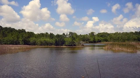 Grassy Lake View with Clouds Stock Footage 79105202