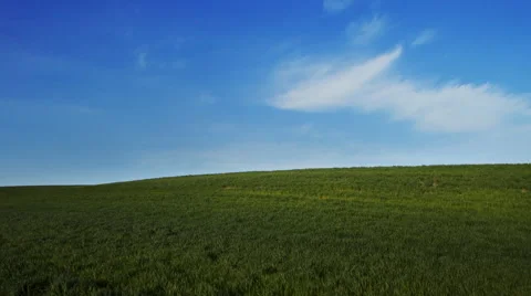 Grassy landscape Stock Footage 60756843