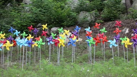 Grassy landscape with a pinwheel 動画素材 310216042