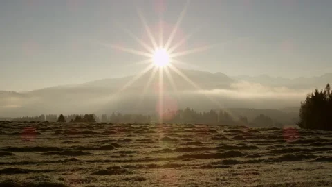 Grassy landscape with sunlight Stock Footage 229118270