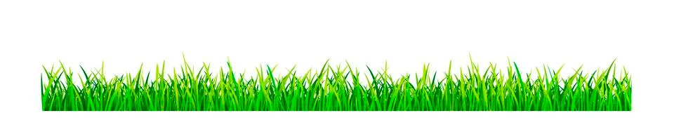 Grassy lawn Stock Illustration