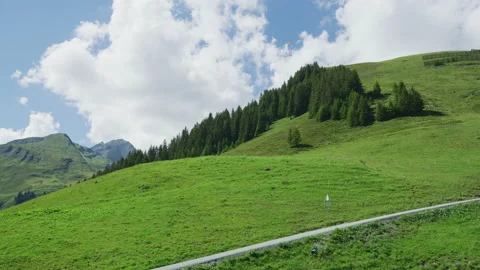 Grassy meadow on mountain slope Stock Footage 219703947