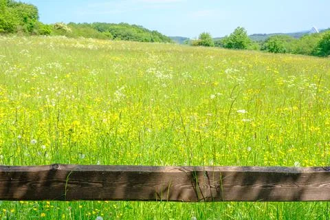 Grassy meadows Stock Photos