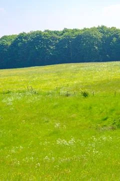 Grassy meadows Stock Photos