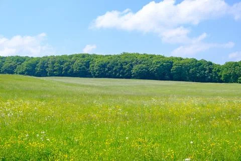 Grassy meadows Foto stock