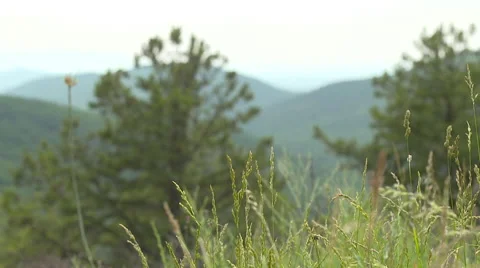 Grassy mountain slow motion pan Stock Footage 52298665