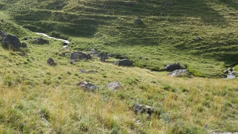 Grassy moutain landscape Stock Footage 131245695