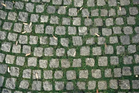 Grassy old stone bricks of pavement Stock Photos