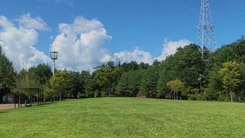 Grassy Park Field with Trees and Power Tower Stock Footage 346735112