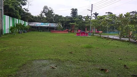 Grassy park lawn with tropical trees a wide features and outdoor furniture Video stock 341507464