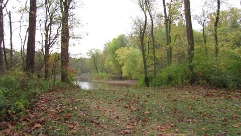 Grassy park trail approaching river bank at autumn morning Stock Footage 200858535