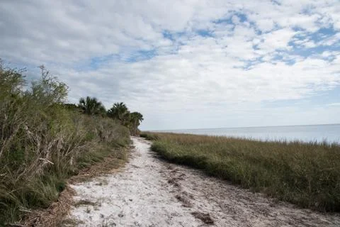 A Grassy Path on the Beach with Cloudy Sky Stock Photos