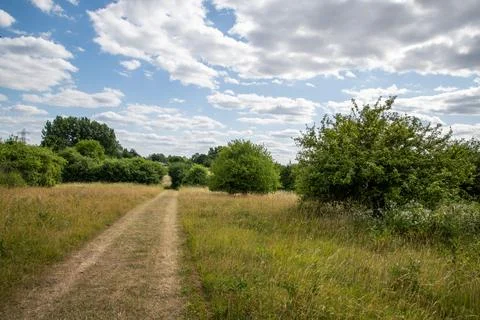 Grassy path through Rammey Marsh, Enfield, on a bright summer day. Stock Photos