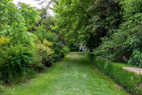 Grassy Path Through Trees and Bushes at Palace of Versailles, Paris. Foto stock