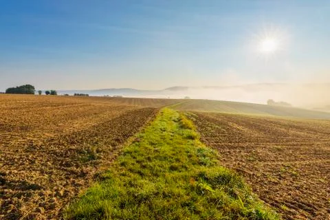 Grassy pathway through plowed fields with the sun and morning mist in autumn at Stock Photos
