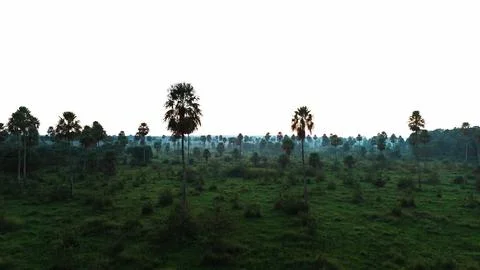 Grassy plain under bright sky Stock Photos