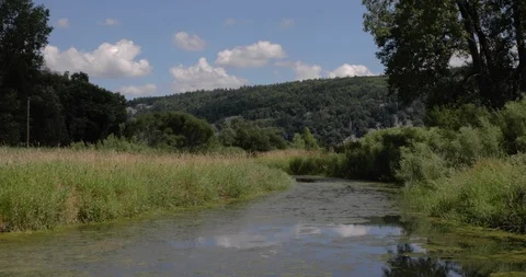 Grassy Pond With Mountain in Background Video stock 94502673