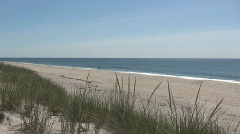 Grassy Sand Dune Overlooking Atlantic Ocean Stock Footage 314149