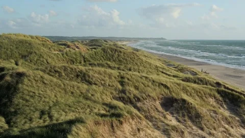 Grassy sand dunes blowing in the wind on a coastal beach Stock Footage 338088539