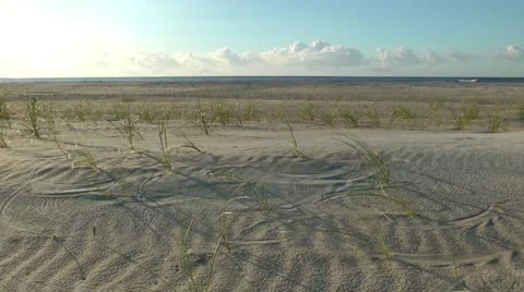 Grassy sand dunes Stock Footage 12169728