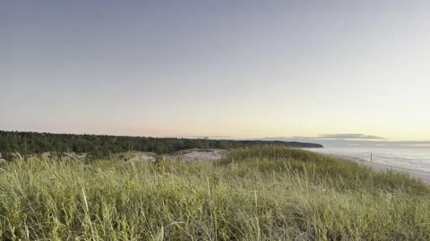 Grassy seashore Stock Footage 218225972