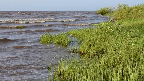 Grassy shore Stock Footage 108764357
