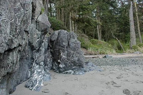 Grassy stone cliffs over the a beach with tall pines covering it Stock Photos