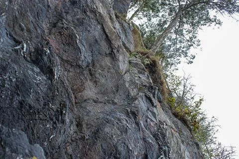 Grassy stone cliffs over the ocean with tall pine trees on it Stock Photos