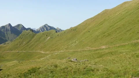 Grassy summer mountains landscape Stock Footage 131245652