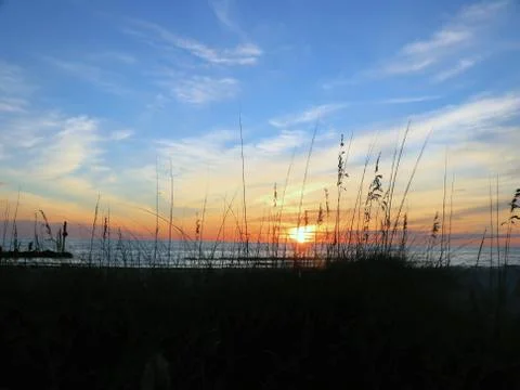 Grassy sunset Stock Photos