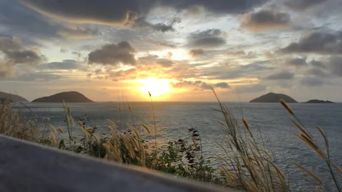 Grassy Sunset View creates warm mood. Wind sways Grassy Sunset View foreground Video stock 325829451