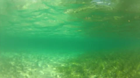 Grassy surface lighting b, 50% Stock Footage 24303825